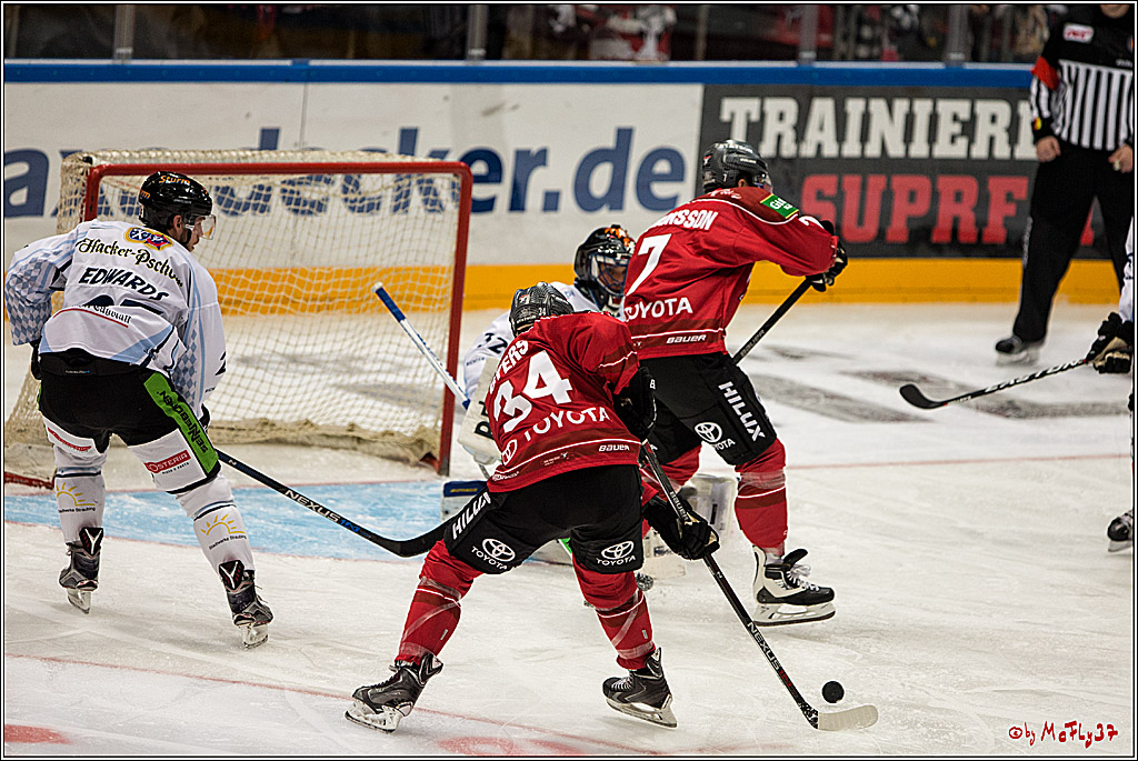 Koelner Haie - Straubing Tigers, 03.10.2016